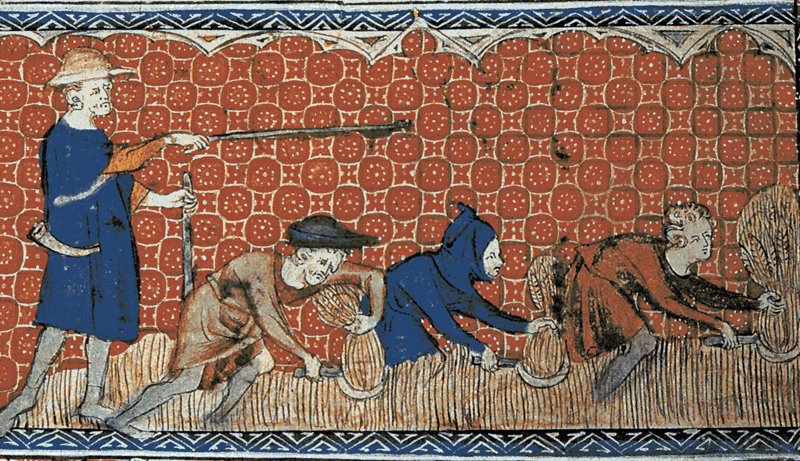 Medieval illustration of men harvesting wheat with reaping-hooks or sickles, on a calendar page for August.