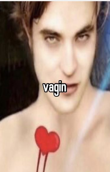 distorted image of Edward, captioned 'vagin'